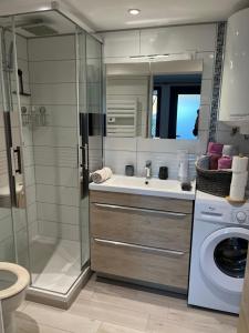 a bathroom with a sink and a washing machine at "Le 3 Bis" Climatisé,1 lit King Size in Venoy