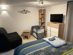 a bedroom with a bed and a flat screen tv at "Le 3 Bis" Climatisé,1 lit King Size in Venoy