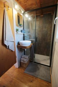 a bathroom with a sink and a glass shower at Tiny house U Dlouháče in Litoměřice +10 photos