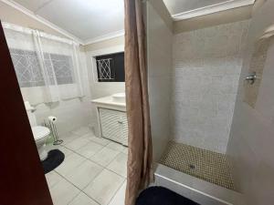 a bathroom with a shower and a toilet and a sink at Meerensee tranquil suite in Richards Bay +9 photos