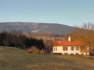 a house in a field with a mountain in the background at Ubytování u J & J in Lauterwasser