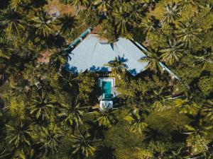 an overhead view of a house in the middle of palm trees at Villa Harimau-Original Joglo style 3B with pool in Gili Trawangan +67 photos