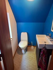 ein blaues Badezimmer mit Toilette und Waschbecken in der Unterkunft kærgård in Bøvlingbjerg + 25 Fotos