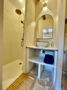 a bathroom with a sink and a shower at Mas du Rocan in Aubignan