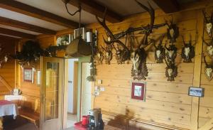 a room with a wooden wall with animal heads on it at Albergo Garni Villa Lory in Baselga di Pinè +26 photos
