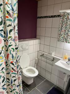 a bathroom with a toilet and a sink at promedklinik apartment 4 in Volkach