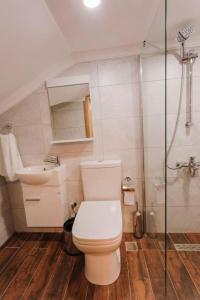 a bathroom with a toilet and a sink and a shower at İSKALİTA Otel in Altındere +25 photos