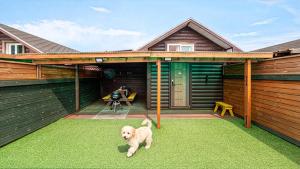 a dog standing on the grass in front of a house at boryeong hiddenvillage dokchae poolvilla in Boryeong