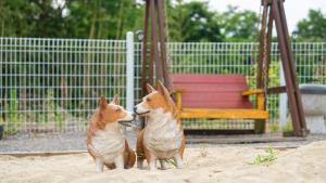 two corgi dogs standing in the sand next to a swing at boryeong hiddenvillage dokchae poolvilla in Boryeong +1 photo