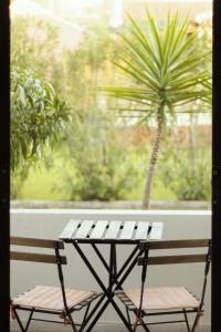 a bench sitting in front of a window with a palm tree at Mariposa Apartments in Kavos
