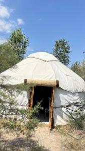 a tent with a chair inside of it at Эко Балык 