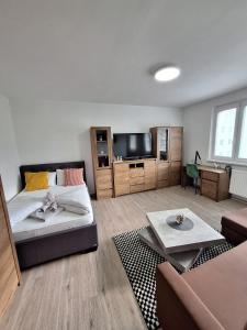a living room with a bed and a flat screen tv at Green Studio Martin in Martin