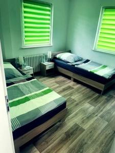 a bedroom with two beds and two windows at Pension am Schottenring in Schotten