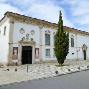 a large white building with a tree in front of it at Casa em bairro típico de Aveiro in Aveiro