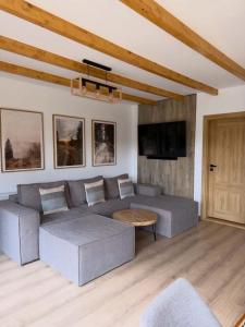 a living room with a gray couch and a tv at SevenHeaven in Mărişel
