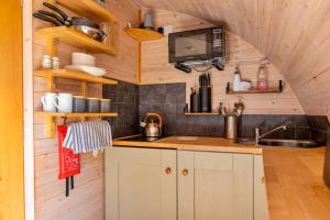 a kitchen with wooden walls and a sink in a tiny house at Finest Retreats - Idris Pod in St Asaph