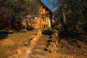 a set of stairs leading to a house with potted plants at Debre Mariam Guest House in Bologna