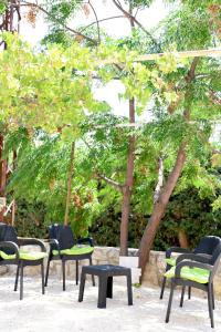 a group of chairs and tables in front of trees at Casa de Simoncis in Batroûn