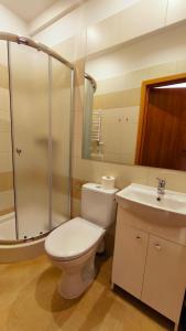 a bathroom with a toilet and a shower and a sink at Villa Góralka in Polanica-Zdrój +36 photos