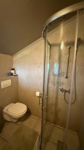 a bathroom with a toilet and a shower at Snaefell Apartments in Hellissandur +23 photos