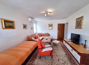 a living room with a couch and a tv at Apartman Pasic in Sarajevo