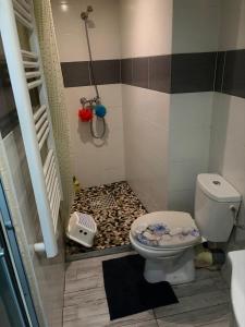 a bathroom with a shower and a toilet at T1 Meublé in Saint-Chamond