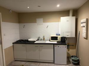 a small kitchen with a microwave and a sink at T1 Meublé in Saint-Chamond +2 photos