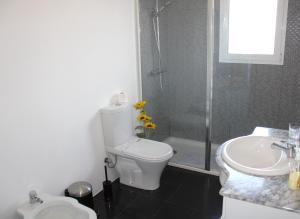 a bathroom with a toilet and a sink and a shower at A Casa de Santana in Santana