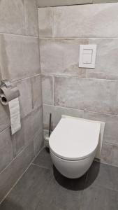 a bathroom with a white toilet in a tile wall at Vakantiewoning Blauhûs in Surhuisterveen +5 photos