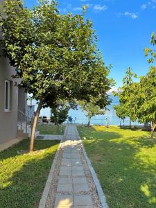 a tree on a sidewalk next to a building at Lakefront House in Pogradec
