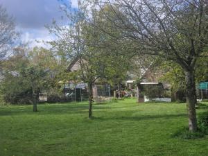 a yard with trees in front of a house at Vakantiewoning Blauhûs in Surhuisterveen