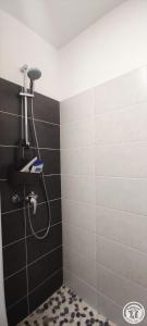 a shower in a bathroom with a black tile wall at Le clos bambou in Loueuse +27 photos