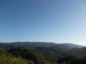 a view of a valley with trees and mountains at Prima Apartment in Podbočje