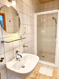 a bathroom with a sink and a shower at Waldschloss Rathenow in Rathenow