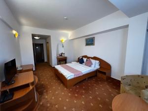 a hotel room with a bed and a television at Hotel Atlantis in Tulcea