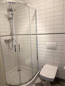 a bathroom with a shower and a toilet at Kasztanowy Pałac in Swadzim +22 photos