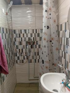 a bathroom with a shower and a sink at Гірська яфина in Myta +48 photos