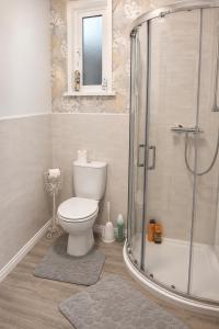 a bathroom with a toilet and a glass shower at Farm Lodge in Monaghan +9 photos