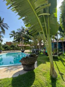 a palm tree next to a swimming pool at Pousada Maraí in Amontada