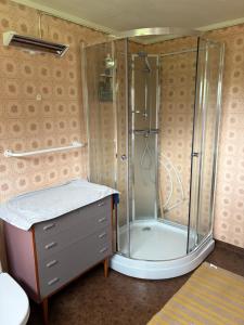 a bathroom with a shower with a sink and a cabinet at Cozy small house with amazing view in Hennes +39 photos