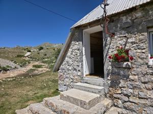 a stone building with stairs leading to a door with flowers at Miris Katuna - Sinjajevina in Šavnik