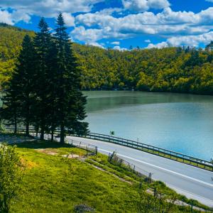 a road next to a lake next to a forest at Ovcharka House in Međuvršje