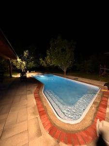 a swimming pool in a yard at night at Green Villa Rodna in Skopje