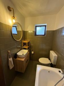 a bathroom with a sink and a toilet and a mirror at Dvor u Hrivka in Heľpa