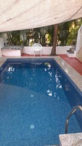 a swimming pool with a chair in the middle at BaywoodGoa -200 meters from Morjim Beach in Morjim