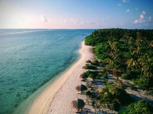 an aerial view of a beach with palm trees and the ocean at South Ari Inn in Mandhoo