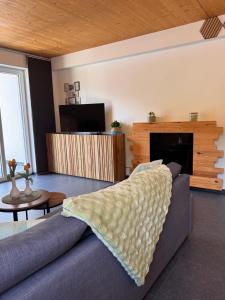 a living room with a couch and a fireplace at Apartment Sophia in Rangersdorf