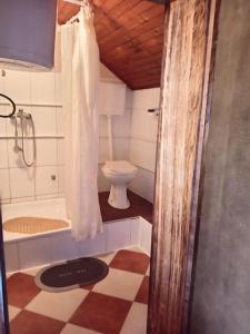 a bathroom with a shower and a toilet in it at Smeštaj Mevlida in Belo Blato +57 photos
