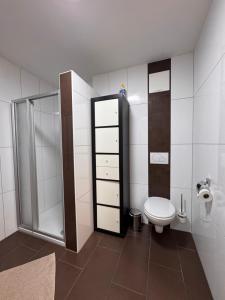 a bathroom with a toilet and a shower at Apartment Sophia in Rangersdorf +6 photos