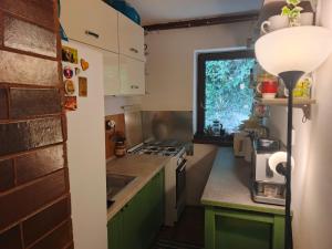 a small kitchen with green cabinets and a window at Chata Moniela in Drietoma